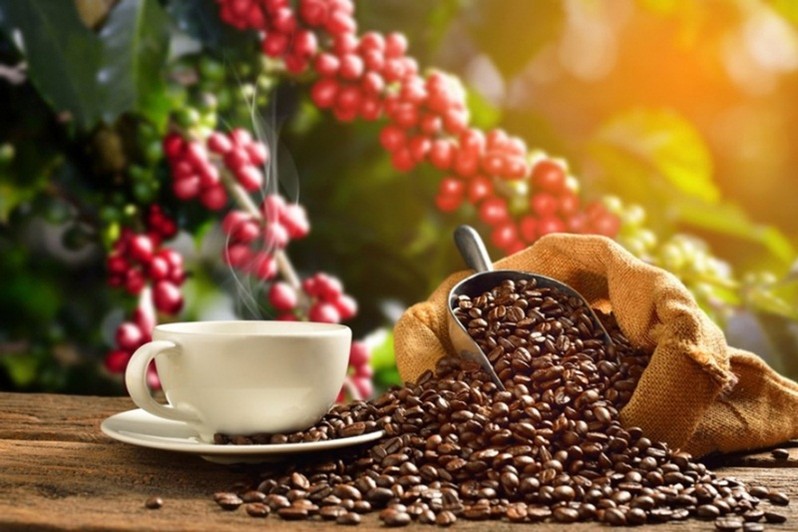 Lo ngại chính sách đóng cửa do đại dịch Covid-19 các nhà nhập khẩu tăng cường tích trữ cà phê