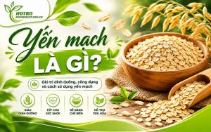yến mạch là gì