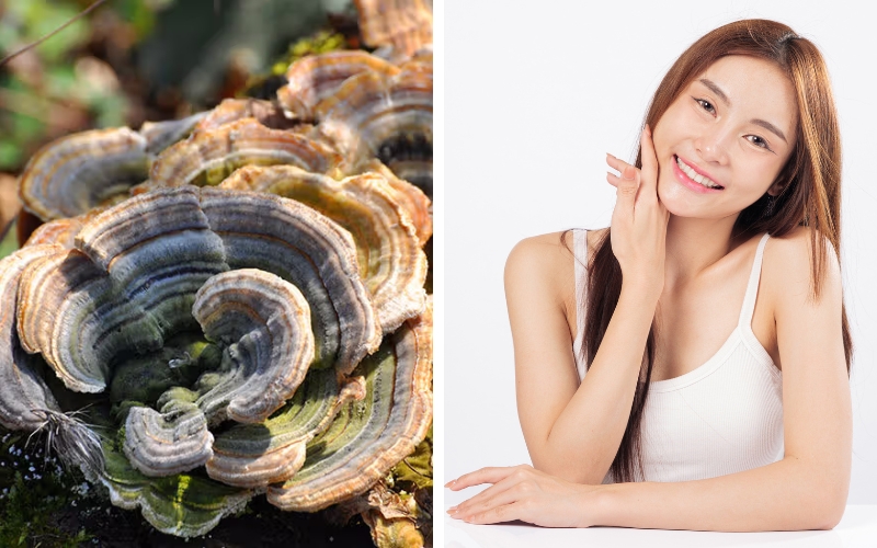Chống oxy hóa