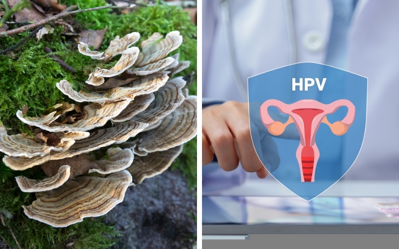 Chống virus HPV sinh dục