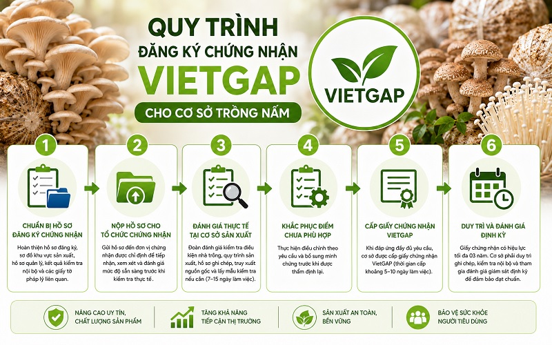 Quy trình đăng ký VietGAP cho cơ sở trồng nấm