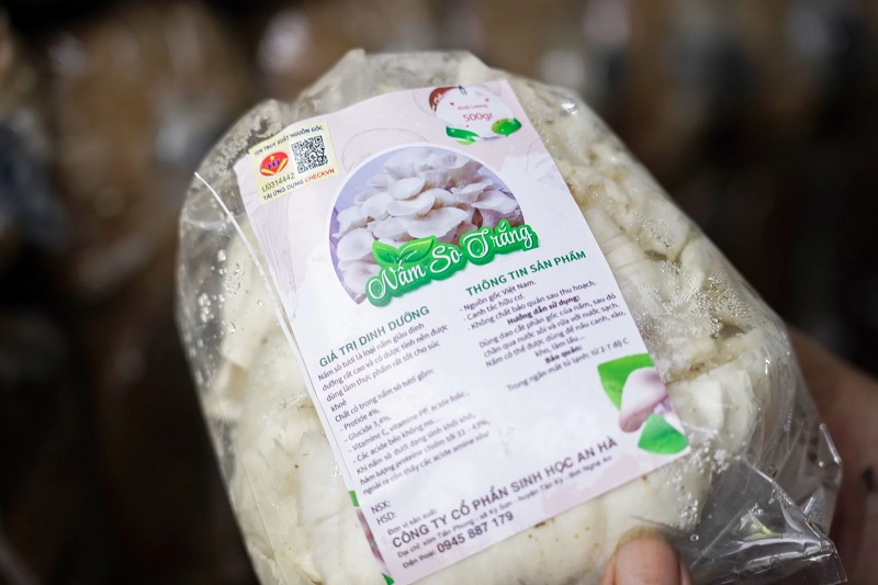 Đóng gói nấm