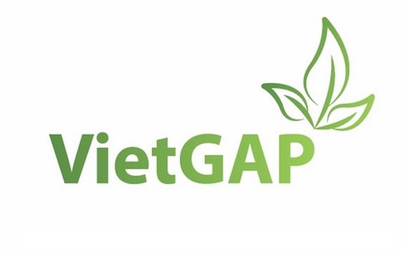 Tiêu chuẩn VietGAP