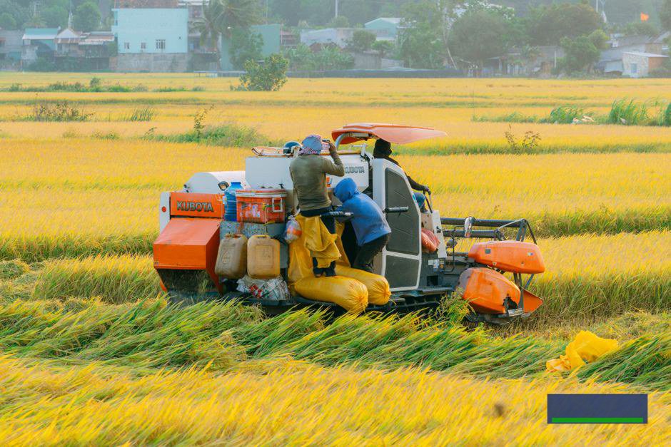 Những bước nhỏ để áp dụng AI mà không làm xáo trộn quy trình nông nghiệp