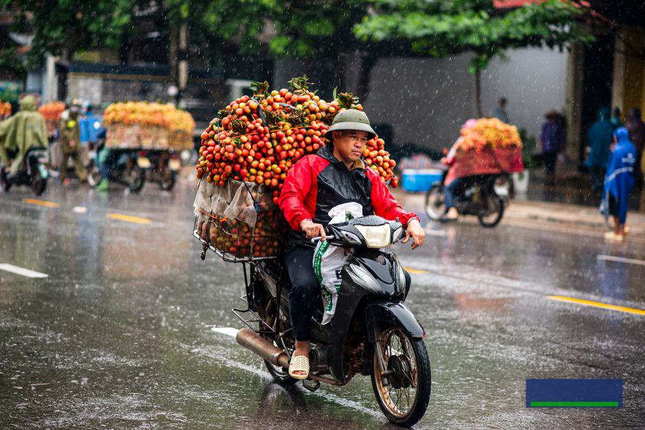 AI hỗ trợ tối ưu tìm kiếm cho trang bán nông sản