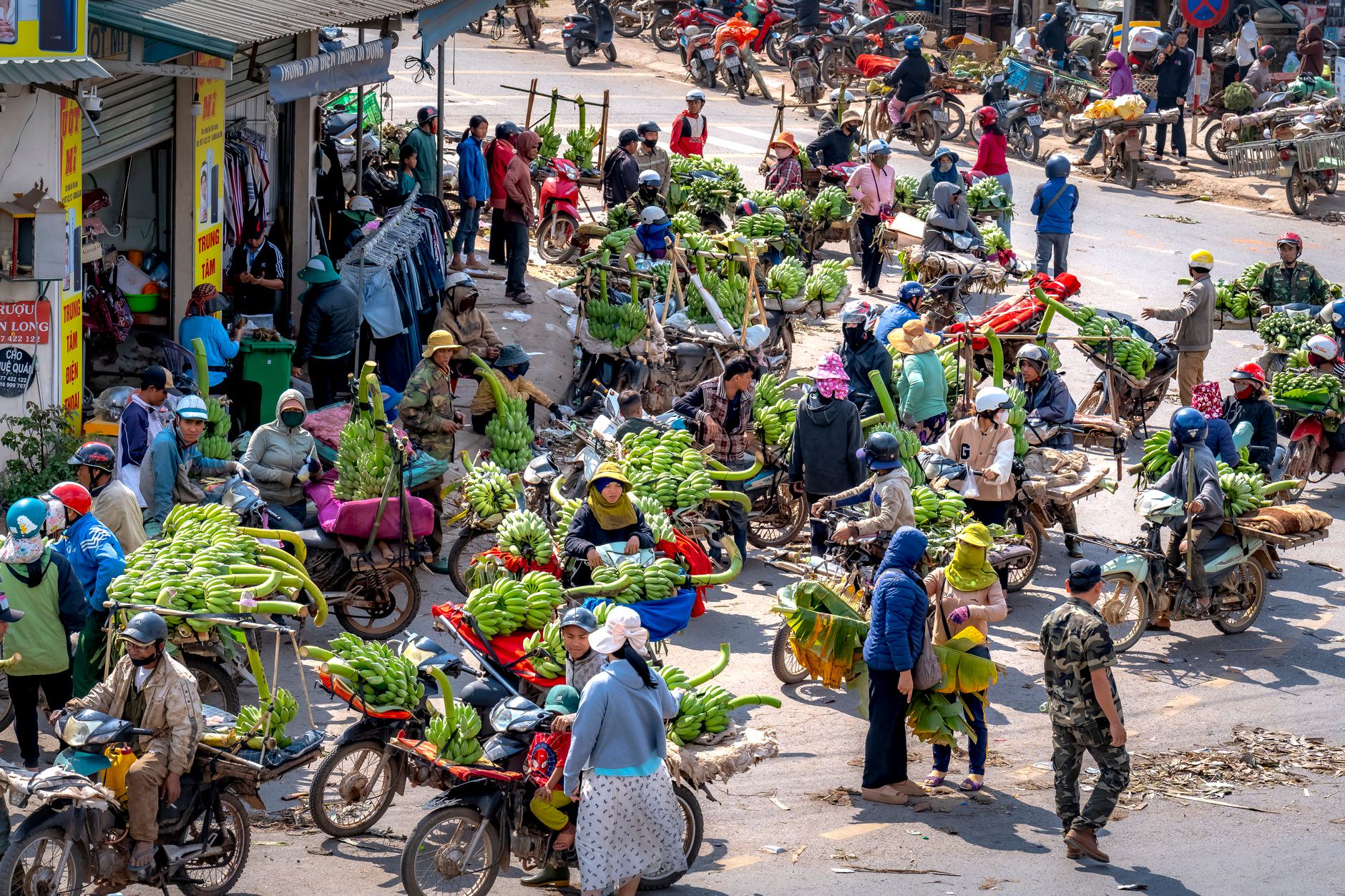 Đặc Điểm Giá Nông Sản Đầu Vụ Và Cuối Vụ